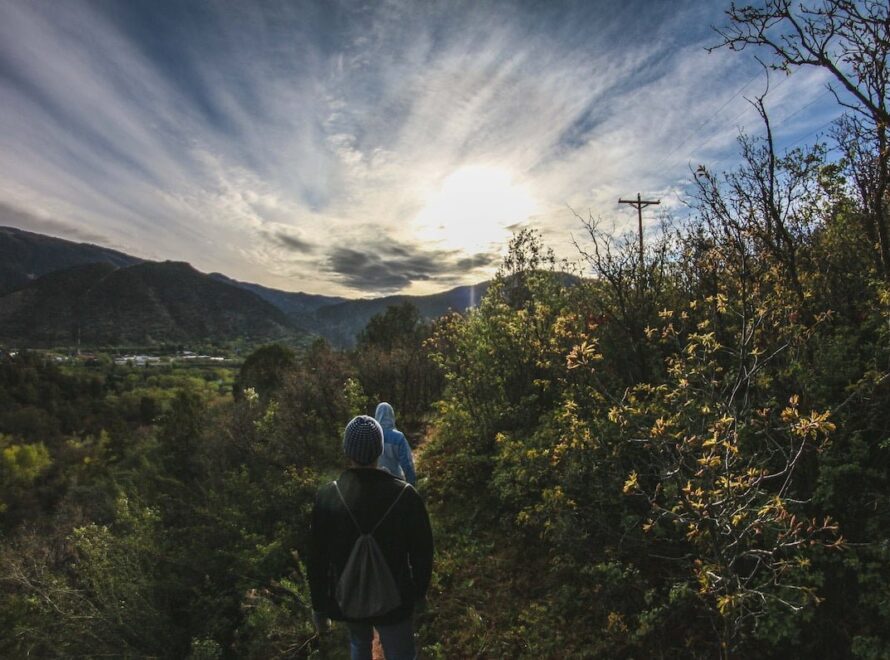 how to avoid Lyme disease